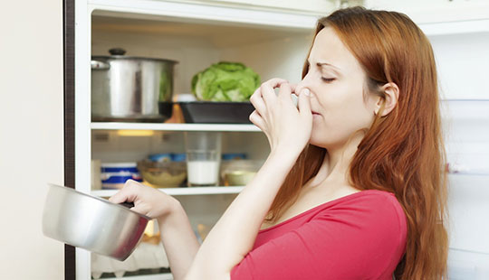 چگونه بوی بد ظروف را از بین ببریم؟