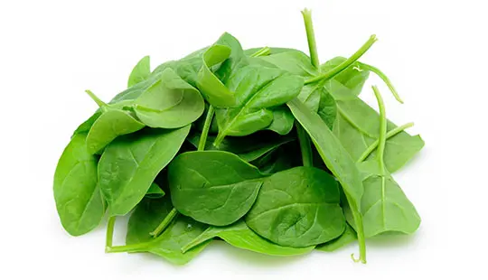 اسفناج و خواصهایش را بشناسید