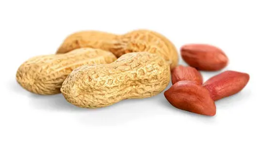 از بادام زمینی چه میدانید؟