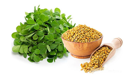 آگاهانه شنبلیله مصرف کنید