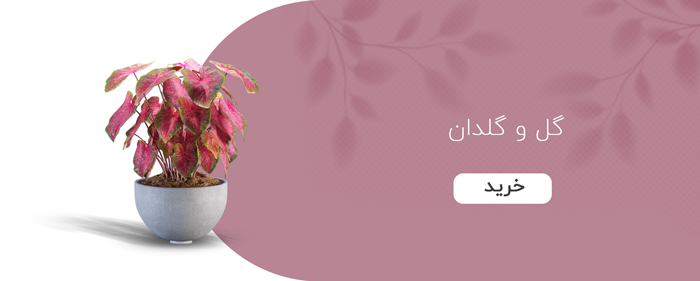گل و گلدان گل و گلدان