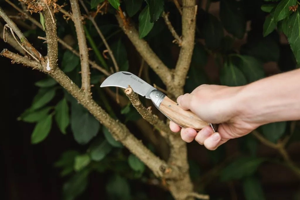 چاقوی قلمه زنی باغبانی | آرایش یا پیرایش