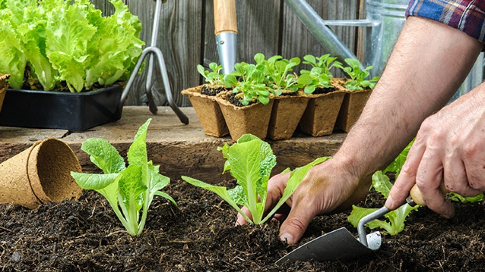 spring-gardening-1280x720