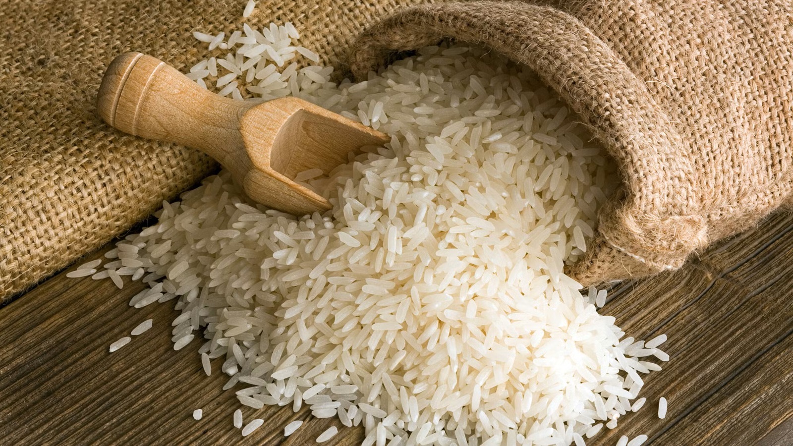 راهنمای انتخاب ظرف نگهداری برنج