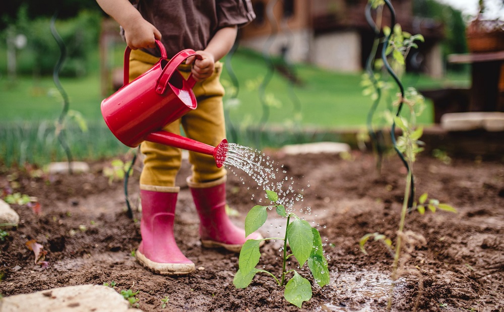 midsection-of-portrait-of-cute-small-child-outdoors-royalty-free-image-1661796224