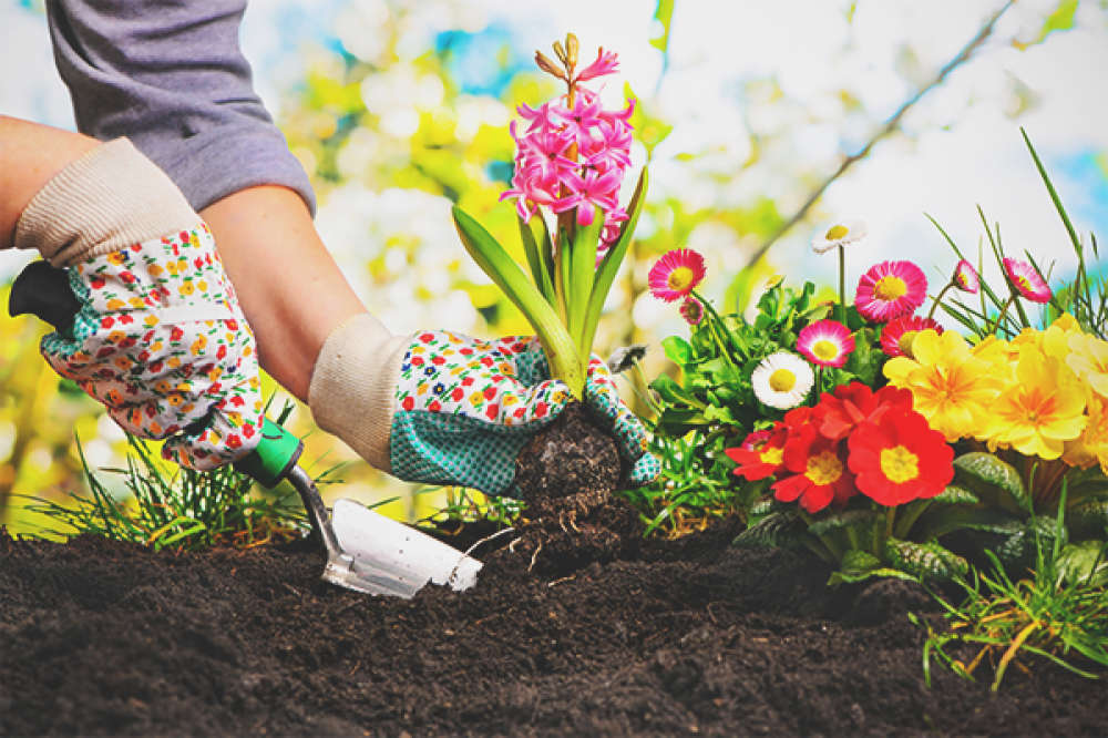 راهنمای انتخاب و خرید بهترین ابزار دستی