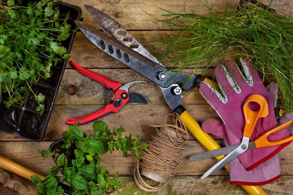 gardening-tools-horticulture_t20_R6bBEX