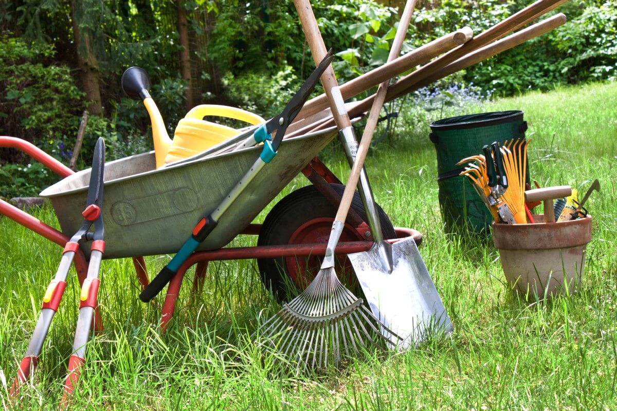 10 ابزار باغبانی حرفه‌ای برای خرید: راهنمایی برای مراقبت از فضای سبز خود