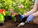 ترفند باغبانی | از چه راهکارهای برای باغبانی بهتر استفاده کنیم؟ آپدیت 1402