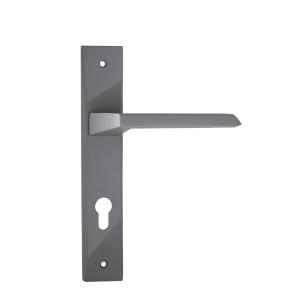 دستگیره در بهریزان مدل E18SG2A طوسی تیره دستگیره در بهریزان مدل E18SG2A طوسی تیره