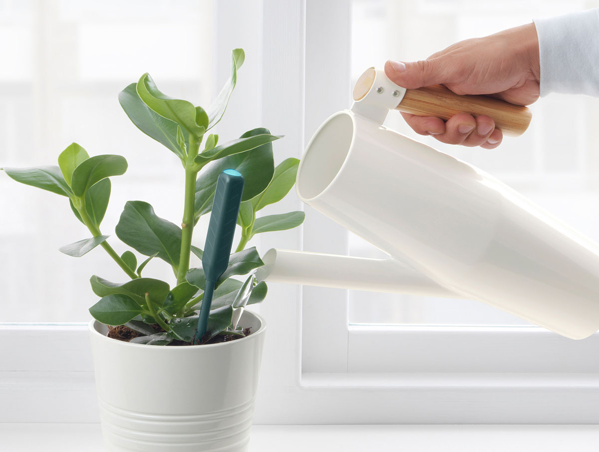   CHILIPULVER-Plant-watering-sensor-20405028-Ikea-Banner-01 