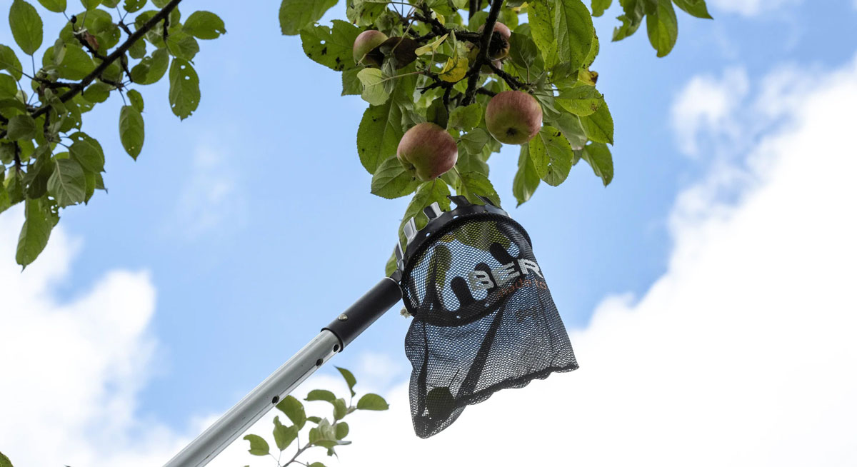 ArboRapid-Fruit-picker-5440-Berger-Banner-01