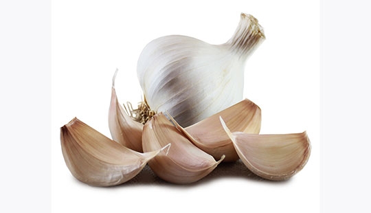 سیر و شگفتیهایش