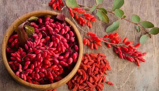 با زرشک و خواص بسیارش آشنا شوید